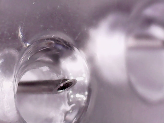 Ribeskin Turtlepin 32G lancet-cut needle, close-up