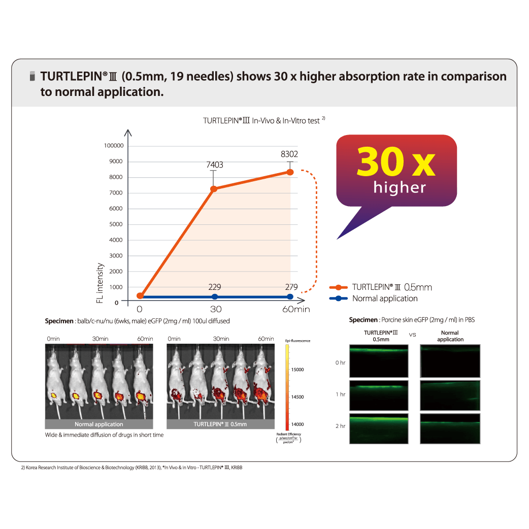 Turtlepin absorption vs. topical application, 30x